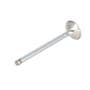 156090 | Exhaust Valve | Case IH 1640 1660 1680 1822 1844 | International | Farmall | IH D414 D436 D466 DT414 DT436 DT466 DT466B DT466C DTI466 DTI466C Hydro 100 Hydro 186 815 915 966 986 1066 1086 1440 1460 1466 1470 | | 676865C4 | 676865C1 | 676865C2 156090 | Exhaust Valve | Case IH 1640 1660 1680 1822 1844 | International | Farmall | IH D414 D436 D466 DT414 DT436 DT466 DT466B DT466C DTI466 DTI466C Hydro 100 Hydro 186 815 915 966 986 1066 1086 1440 1460 1466 1470 | | 676865C4 | 676865C1 | 676865C2