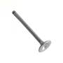 167461 | Exhaust Valve | Ford Dexta Super Dexta | Massey Ferguson 35 35 35X 50 50 65 65 205 205 302 302 304 304 | Perkins A3.152 A4.203 3.152 | | 957E6505 | 731705M91 | 31431951 | 81717764 | 0910002 | 731152V1 | 731152M1 167461 | Exhaust Valve | Ford Dexta Super Dexta | Massey Ferguson 35 35 35X 50 50 65 65 205 205 302 302 304 304 | Perkins A3.152 A4.203 3.152 | | 957E6505 | 731705M91 | 31431951 | 81717764 | 0910002 | 731152V1 | 731152M1