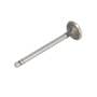 128664 | Exhaust Valve | Ford A64 A64 TW5 TW10 158 175 192 335 335 340 340 340A 340A 340B 340B 345C 345C 345D 345D 420 420 445 445 445A 445A 445C 445C 445D 445D 455 455 455C 455C 455D 455D 515 515 535 535 540 540 540A 540A 540B 540B 545 | | C7NN6505E 128664 | Exhaust Valve | Ford A64 A64 TW5 TW10 158 175 192 335 335 340 340 340A 340A 340B 340B 345C 345C 345D 345D 420 420 445 445 445A 445A 445C 445C 445D 445D 455 455 455C 455C 455D 455D 515 515 535 535 540 540 540A 540A 540B 540B 545 | | C7NN6505E
