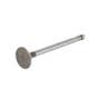128664 | Exhaust Valve | Ford A64 A64 TW5 TW10 158 175 192 335 335 340 340 340A 340A 340B 340B 345C 345C 345D 345D 420 420 445 445 445A 445A 445C 445C 445D 445D 455 455 455C 455C 455D 455D 515 515 535 535 540 540 540A 540A 540B 540B 545 | | C7NN6505E 128664 | Exhaust Valve | Ford A64 A64 TW5 TW10 158 175 192 335 335 340 340 340A 340A 340B 340B 345C 345C 345D 345D 420 420 445 445 445A 445A 445C 445C 445D 445D 455 455 455C 455C 455D 455D 515 515 535 535 540 540 540A 540A 540B 540B 545 | | C7NN6505E