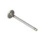 128664 | Exhaust Valve | Ford A64 A64 TW5 TW10 158 175 192 335 335 340 340 340A 340A 340B 340B 345C 345C 345D 345D 420 420 445 445 445A 445A 445C 445C 445D 445D 455 455 455C 455C 455D 455D 515 515 535 535 540 540 540A 540A 540B 540B 545 | | C7NN6505E 128664 | Exhaust Valve | Ford A64 A64 TW5 TW10 158 175 192 335 335 340 340 340A 340A 340B 340B 345C 345C 345D 345D 420 420 445 445 445A 445A 445C 445C 445D 445D 455 455 455C 455C 455D 455D 515 515 535 535 540 540 540A 540A 540B 540B 545 | | C7NN6505E