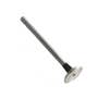 166359 | Exhaust Valve | Ford TW5 TW10 TW20 TW30 TW35 230A 234 256 268 334 335 401 2310 2610 2810 2910 3230 3910 3930 4110 4130 4630 4830 5030 5110 5600 5610 | | C9NN6505E | D8NN6505AA | D0NN6505A | D6NN6505A | 81825866 | 83909917 | 87800340 | 87802262 166359 | Exhaust Valve | Ford TW5 TW10 TW20 TW30 TW35 230A 234 256 268 334 335 401 2310 2610 2810 2910 3230 3910 3930 4110 4130 4630 4830 5030 5110 5600 5610 | | C9NN6505E | D8NN6505AA | D0NN6505A | D6NN6505A | 81825866 | 83909917 | 87800340 | 87802262