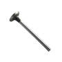 166359 | Exhaust Valve | Ford TW5 TW10 TW20 TW30 TW35 230A 234 256 268 334 335 401 2310 2610 2810 2910 3230 3910 3930 4110 4130 4630 4830 5030 5110 5600 5610 | | C9NN6505E | D8NN6505AA | D0NN6505A | D6NN6505A | 81825866 | 83909917 | 87800340 | 87802262 166359 | Exhaust Valve | Ford TW5 TW10 TW20 TW30 TW35 230A 234 256 268 334 335 401 2310 2610 2810 2910 3230 3910 3930 4110 4130 4630 4830 5030 5110 5600 5610 | | C9NN6505E | D8NN6505AA | D0NN6505A | D6NN6505A | 81825866 | 83909917 | 87800340 | 87802262