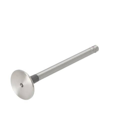 173049 | Exhaust Valve | Ford 230A 231 233 234 333 334 335 531 2310 2600 2610 2810 2910 3600 3610 3900 3910 4100 4110 4600 4600SU 4610 4630 5600 5700 6600 7700 |  | D3NN6505B | 87800337