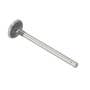 173049 | Exhaust Valve | Ford 230A 231 233 234 333 334 335 531 2310 2600 2610 2810 2910 3600 3610 3900 3910 4100 4110 4600 4600SU 4610 4630 5600 5700 6600 7700 | | D3NN6505B | 87800337 173049 | Exhaust Valve | Ford 230A 231 233 234 333 334 335 531 2310 2600 2610 2810 2910 3600 3610 3900 3910 4100 4110 4600 4600SU 4610 4630 5600 5700 6600 7700 | | D3NN6505B | 87800337