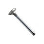 167283 | Exhaust Valve | International | Farmall | IH 475 | Massey Ferguson 30 50 80 510 1100 | White 7300 7600 7800 8600 | Landini TL20C | Oliver 1850 | Perkins A4.212 6.354 | | 3118132R1 | 741466M1 | 31431881 167283 | Exhaust Valve | International | Farmall | IH 475 | Massey Ferguson 30 50 80 510 1100 | White 7300 7600 7800 8600 | Landini TL20C | Oliver 1850 | Perkins A4.212 6.354 | | 3118132R1 | 741466M1 | 31431881