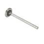 192704 | Exhaust Valve | International | Farmall | IH C264 C281 W400 W450 400 450 | | 362436R1 192704 | Exhaust Valve | International | Farmall | IH C264 C281 W400 W450 400 450 | | 362436R1