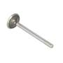 128630 | Exhaust Valve | John Deere 210 210 300 300 301 301 302 302 310 315 315 340 340 344 344 350 350 355 355 380 400 400 401 401 410 410B 410B 415 415 440 440 440A 440A 440C 440C 444 444 444C 444C 444D 444D 444E 444E 450 455 455 480 480 | | R79624 128630 | Exhaust Valve | John Deere 210 210 300 300 301 301 302 302 310 315 315 340 340 344 344 350 350 355 355 380 400 400 401 401 410 410B 410B 415 415 440 440 440A 440A 440C 440C 444 444 444C 444C 444D 444D 444E 444E 450 455 455 480 480 | | R79624