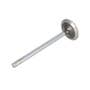124058 | Exhaust Valve | John Deere CTS 250 250 300 300 330 330 370 370 530B 535 535 560D 608 644 644 660D 724 740 740 748 753 759 770 770 772 772 848G 848G 850 850 853 870 870 872 900 903 903 909 950 950 953 953 959 1470 1470 1710 1710 1711 | | R84619 124058 | Exhaust Valve | John Deere CTS 250 250 300 300 330 330 370 370 530B 535 535 560D 608 644 644 660D 724 740 740 748 753 759 770 770 772 772 848G 848G 850 850 853 870 870 872 900 903 903 909 950 950 953 953 959 1470 1470 1710 1710 1711 | | R84619