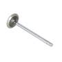 124058 | Exhaust Valve | John Deere CTS 250 250 300 300 330 330 370 370 530B 535 535 560D 608 644 644 660D 724 740 740 748 753 759 770 770 772 772 848G 848G 850 850 853 870 870 872 900 903 903 909 950 950 953 953 959 1470 1470 1710 1710 1711 | | R84619 124058 | Exhaust Valve | John Deere CTS 250 250 300 300 330 330 370 370 530B 535 535 560D 608 644 644 660D 724 740 740 748 753 759 770 770 772 772 848G 848G 850 850 853 870 870 872 900 903 903 909 950 950 953 953 959 1470 1470 1710 1710 1711 | | R84619
