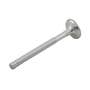 172319 | Exhaust Valve | Massey Ferguson 65 65 165 3165 3165 | Continental G176 | | 1019743M1 172319 | Exhaust Valve | Massey Ferguson 65 65 165 3165 3165 | Continental G176 | | 1019743M1