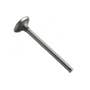 166347 | Exhaust Valve | Massey Ferguson 30 30 50 50 65 65 135 150 165 203 203 205 205 230 235 245 250 254-4 255 300 302 302 304 304 2135 2135 2220 3165 | | | 731152M1 | 70910002 | 731705M91 | 732812M01 | 732868M91 | 31431271 | 58262 | 58289 | 723812M1 166347 | Exhaust Valve | Massey Ferguson 30 30 50 50 65 65 135 150 165 203 203 205 205 230 235 245 250 254-4 255 300 302 302 304 304 2135 2135 2220 3165 | | | 731152M1 | 70910002 | 731705M91 | 732812M01 | 732868M91 | 31431271 | 58262 | 58289 | 723812M1