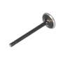 124140 | Exhaust Valve | Ford 1920 2120 3415 | New Holland G6030 G6035 L150 L160 L170 LS150 LS160 LS170 LX485 LX565 MC35 T1510 T1520 T2210 T2220 T2310 T2320 T2330 T2410 T2420 TC31 TC34DA TC35 TC35D TC35DA TC40 TC40D TC40DA TC45 TC45A | | SBA120176360 124140 | Exhaust Valve | Ford 1920 2120 3415 | New Holland G6030 G6035 L150 L160 L170 LS150 LS160 LS170 LX485 LX565 MC35 T1510 T1520 T2210 T2220 T2310 T2320 T2330 T2410 T2420 TC31 TC34DA TC35 TC35D TC35DA TC40 TC40D TC40DA TC45 TC45A | | SBA120176360