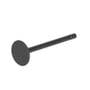 124140 | Exhaust Valve | Ford 1920 2120 3415 | New Holland G6030 G6035 L150 L160 L170 LS150 LS160 LS170 LX485 LX565 MC35 T1510 T1520 T2210 T2220 T2310 T2320 T2330 T2410 T2420 TC31 TC34DA TC35 TC35D TC35DA TC40 TC40D TC40DA TC45 TC45A | | SBA120176360 124140 | Exhaust Valve | Ford 1920 2120 3415 | New Holland G6030 G6035 L150 L160 L170 LS150 LS160 LS170 LX485 LX565 MC35 T1510 T1520 T2210 T2220 T2310 T2320 T2330 T2410 T2420 TC31 TC34DA TC35 TC35D TC35DA TC40 TC40D TC40DA TC45 TC45A | | SBA120176360