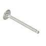 186424 | Exhaust Valve | Yanmar YM195 YM195D YM240 YM240D YM330 YM330D YM336 YM1600 YM1700 YM1900 YM2000 YM2210 YM3000 YM3110 YM4500 2T84 2T90 2TR16 2TR17 2TR19 2TR20 2TR20A 3T84 3T95 | | 104600-11110 186424 | Exhaust Valve | Yanmar YM195 YM195D YM240 YM240D YM330 YM330D YM336 YM1600 YM1700 YM1900 YM2000 YM2210 YM3000 YM3110 YM4500 2T84 2T90 2TR16 2TR17 2TR19 2TR20 2TR20A 3T84 3T95 | | 104600-11110