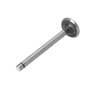 180298 | Exhaust Valve | Zetor 3320 3321 3340 3341 4320 4321 4340 4341 4911 5011 5211 5213 5243 5245 5320 5321 5340 5341 5911 5945 6011 6045 6211 6245 6320 6321 6340 6341 6911 6945 7011 7045 7211 7245 7711 7745 | | 69010554 180298 | Exhaust Valve | Zetor 3320 3321 3340 3341 4320 4321 4340 4341 4911 5011 5211 5213 5243 5245 5320 5321 5340 5341 5911 5945 6011 6045 6211 6245 6320 6321 6340 6341 6911 6945 7011 7045 7211 7245 7711 7745 | | 69010554