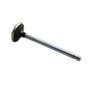 131338 | Exhaust Valve - Standard | Case IH MXM120 MXM130 MXM140 MXM155 MXM190 | Ford 456 | New Holland TM120 TM125 TM130 TM135 TM140 TM150 TM155 TM165 TM175 TM190 TR89 TR98 TR99 TS100 | | 87802258 | 87802258 | 87802258 | 81865085 | 82850523 | 87802147 131338 | Exhaust Valve - Standard | Case IH MXM120 MXM130 MXM140 MXM155 MXM190 | Ford 456 | New Holland TM120 TM125 TM130 TM135 TM140 TM150 TM155 TM165 TM175 TM190 TR89 TR98 TR99 TS100 | | 87802258 | 87802258 | 87802258 | 81865085 | 82850523 | 87802147