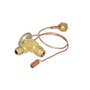 110048 | Expansion Valve - Externally Equalized - Flare | Allis Chalmers 200 210 220 6060 6070 6080 7000 7010 7020 7030 7040 | | 70257322 | F63726 | 1P6526 | 0034238 | V31510 | 71162473 | 7022304 | 1336422C1 | AH144896 | 1072136M91 | V63145 | 312750087 110048 | Expansion Valve - Externally Equalized - Flare | Allis Chalmers 200 210 220 6060 6070 6080 7000 7010 7020 7030 7040 | | 70257322 | F63726 | 1P6526 | 0034238 | V31510 | 71162473 | 7022304 | 1336422C1 | AH144896 | 1072136M91 | V63145 | 312750087