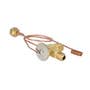 110048 | Expansion Valve - Externally Equalized - Flare | Allis Chalmers 200 210 220 6060 6070 6080 7000 7010 7020 7030 7040 | | 70257322 | F63726 | 1P6526 | 0034238 | V31510 | 71162473 | 7022304 | 1336422C1 | AH144896 | 1072136M91 | V63145 | 312750087 110048 | Expansion Valve - Externally Equalized - Flare | Allis Chalmers 200 210 220 6060 6070 6080 7000 7010 7020 7030 7040 | | 70257322 | F63726 | 1P6526 | 0034238 | V31510 | 71162473 | 7022304 | 1336422C1 | AH144896 | 1072136M91 | V63145 | 312750087