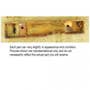 496610 | Frame Rail Extention - LH | John Deere 4850 | | R63392 496610 | Frame Rail Extention - LH | John Deere 4850 | | R63392