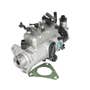 117638 | Fuel Injection Pump | Massey Ferguson 285 298 698 1080 1085 | | DPA3342F411 | DPA3342F410 | DPA3249F240 | DPA3249F243 | 1446846M91 | 1447178M91 | 1447605M91 | 1447605V91 | 2643C125 117638 | Fuel Injection Pump | Massey Ferguson 285 298 698 1080 1085 | | DPA3342F411 | DPA3342F410 | DPA3249F240 | DPA3249F243 | 1446846M91 | 1447178M91 | 1447605M91 | 1447605V91 | 2643C125