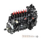 200816 | Fuel Injection Pump | Case IH 7240 | | PES6MW-RS1240 | 0-403-466-160 | J927129 | 3927129