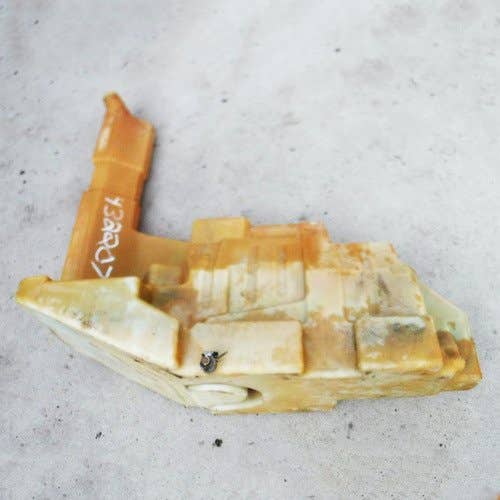 Used Fuel Tank fits John Deere 318D 319D 320D 323D T235899