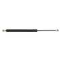 165022 | Gas Strut - Door | Case IH 1620 1640 1644 1660 1666 1670 1680 1688 1800 1822 1844 2055 | | 1280157C1 165022 | Gas Strut - Door | Case IH 1620 1640 1644 1660 1666 1670 1680 1688 1800 1822 1844 2055 | | 1280157C1