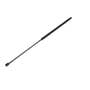 150614 | Gas Strut Spring Cylinder | Hood | Case IH MXM120 MXM130 MXM140 MXM155 | New Holland TM115 TM120 TM125 TM130 TM135 TM140 TM150 TM155 TM165 TV140 TV145 | | 82000446 | 82000446 | 82006314 | 82007029 | 82019392 | 82006314 | 82007029 | 82019392 150614 | Gas Strut Spring Cylinder | Hood | Case IH MXM120 MXM130 MXM140 MXM155 | New Holland TM115 TM120 TM125 TM130 TM135 TM140 TM150 TM155 TM165 TV140 TV145 | | 82000446 | 82000446 | 82006314 | 82007029 | 82019392 | 82006314 | 82007029 | 82019392