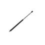 161764 | Gas Strut Spring Cylinder | Hood | Case IH JX1070U JX1080U JX1090U JX1100U | New Holland T5040 T5050 T5060 T5070 TL90A TL100A | | 47125540 161764 | Gas Strut Spring Cylinder | Hood | Case IH JX1070U JX1080U JX1090U JX1100U | New Holland T5040 T5050 T5060 T5070 TL90A TL100A | | 47125540