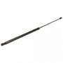 161765 | Gas Strut Spring Cylinder | Hood | Case IH Maxxum 115 Maxxum 125 MXU115 MXU125 MXU130 MXU135 Puma 125 Puma 130 Puma 140 Puma 145 Puma 150 Puma 155 Puma 160 Puma 165 | New Holland T6030 T6050 T6070 T6080 T6090 T6.155 | | 84277822 | 82032865 161765 | Gas Strut Spring Cylinder | Hood | Case IH Maxxum 115 Maxxum 125 MXU115 MXU125 MXU130 MXU135 Puma 125 Puma 130 Puma 140 Puma 145 Puma 150 Puma 155 Puma 160 Puma 165 | New Holland T6030 T6050 T6070 T6080 T6090 T6.155 | | 84277822 | 82032865