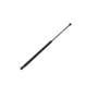 113218 | Gas Strut Spring Cylinder | Rear Window | Massey Ferguson 3050 3060 3065 3070 3075 3080 3085 3090 3095 3115 3120 3125 3140 3630 3635 3645 3650 3655 3660 3670 3680 3690 | | 3389556M1 | 3389556M2 113218 | Gas Strut Spring Cylinder | Rear Window | Massey Ferguson 3050 3060 3065 3070 3075 3080 3085 3090 3095 3115 3120 3125 3140 3630 3635 3645 3650 3655 3660 3670 3680 3690 | | 3389556M1 | 3389556M2