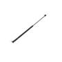 113246 | Gas Strut Spring Cylinder | Rear Window | John Deere 1640 2040 2040S 2140 2250 2450 2650 2850 3040 3050 3140 3150 3350 3640 3650 4055 4255 4450 4455 4650 4755 4850 4955 | | AL66992 | AL35675 113246 | Gas Strut Spring Cylinder | Rear Window | John Deere 1640 2040 2040S 2140 2250 2450 2650 2850 3040 3050 3140 3150 3350 3640 3650 4055 4255 4450 4455 4650 4755 4850 4955 | | AL66992 | AL35675
