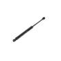 120013 | Gas Strut Spring Cylinder | Seat Bar | shock | Case 1835C 1838 1840 1845C | | 128461A2 120013 | Gas Strut Spring Cylinder | Seat Bar | shock | Case 1835C 1838 1840 1845C | | 128461A2