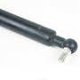 413153 | Gas Strut Spring Cylinder | John Deere CTS CTSII 9400 9410 9450 9500 9501 9510 9550 9550 SH 9560 9560 SH 9560 STS 9570 9600 9610 9650 9650 CTS 9650 STS 9660 9660 CTS 9660 STS 9670 9750 9750 STS 9760 9760 STS | | AH128597 | AH143033 | AH161392. 413153 | Gas Strut Spring Cylinder | John Deere CTS CTSII 9400 9410 9450 9500 9501 9510 9550 9550 SH 9560 9560 SH 9560 STS 9570 9600 9610 9650 9650 CTS 9650 STS 9660 9660 CTS 9660 STS 9670 9750 9750 STS 9760 9760 STS | | AH128597 | AH143033 | AH161392.