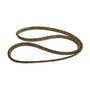 128513 | Gasket - Trumpet Reduction Housing | Massey Ferguson 65 155 158 165 168 175 178 185 188 250 265 275 290 565 575 675 690 765 | | 184182M3 128513 | Gasket - Trumpet Reduction Housing | Massey Ferguson 65 155 158 165 168 175 178 185 188 250 265 275 290 565 575 675 690 765 | | 184182M3