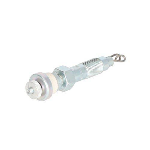 128860 | Glow Plug | Massey Ferguson TO35 35 |  | 0-250-002-009 | CH45 | HDS317 | 829162M1