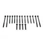 171632 | Head Bolt Kit | Allis Chalmers 8745 8765 | Case W11B W11B 90XT 95XT 450C 450C 455C 455C 480E 480E 480ELL 480ELL 480F 480F 480FLL 480FLL 550 550 550E 550E 550G 550G 570LXT 570LXT 570LXT 570LXT 580K 580K | | RP731141 | 3920779 | 3920780 | 3920781 171632 | Head Bolt Kit | Allis Chalmers 8745 8765 | Case W11B W11B 90XT 95XT 450C 450C 455C 455C 480E 480E 480ELL 480ELL 480F 480F 480FLL 480FLL 550 550 550E 550E 550G 550G 570LXT 570LXT 570LXT 570LXT 580K 580K | | RP731141 | 3920779 | 3920780 | 3920781