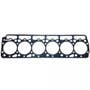 155677 | Head Gasket | Case IH 1660 1680 | International | Farmall | IH D414 D436 DT414 DT436 DT466 DTI466 Hydro 100 Hydro 186 966 986 1066 1086 1466 1486 1566 1586 3388 3488 3588 3688 3788 4166 4186 4366 4386 5088 5288 5488 | | 1342421C2 | 1819547C91 155677 | Head Gasket | Case IH 1660 1680 | International | Farmall | IH D414 D436 DT414 DT436 DT466 DTI466 Hydro 100 Hydro 186 966 986 1066 1086 1466 1486 1566 1586 3388 3488 3588 3688 3788 4166 4186 4366 4386 5088 5288 5488 | | 1342421C2 | 1819547C91
