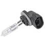 121420 | Headlight Bulb - 12V | Halogen 862 | Case IH AFX8010 2377 2388 2577 2588 7010 7120 8010 8120 9120 | | 87107077 | 862 121420 | Headlight Bulb - 12V | Halogen 862 | Case IH AFX8010 2377 2388 2577 2588 7010 7120 8010 8120 9120 | | 87107077 | 862