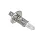 121450 | Headlight Bulb - 12V | Halogen H1 | Massey Ferguson 30 30 31 31 135 150 165 175 180 235 245 255 265 275 275 285 1080 1085 1100 1105 1130 1135 | | 505281M91 | 10A202258 | 164089AS | 30-3068242 | 505282M91 | 509652M91 | 10A20255 | 164108AS | H1 121450 | Headlight Bulb - 12V | Halogen H1 | Massey Ferguson 30 30 31 31 135 150 165 175 180 235 245 255 265 275 275 285 1080 1085 1100 1105 1130 1135 | | 505281M91 | 10A202258 | 164089AS | 30-3068242 | 505282M91 | 509652M91 | 10A20255 | 164108AS | H1