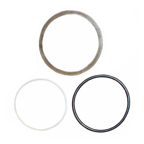 191575 | Hydraulic Coupler O-Ring and Seal Kit | Challenger MT735 MT745 MT745B MT755 MT755B MT765 MT765B MT835 MT835B MT845 MT845B MT855 MT855B MT865 MT865B MT955B MT965B MT975B |  | 550376D1