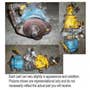 430166 | Hydraulic Pump - Tandem | Mustang 342 | | 323805 430166 | Hydraulic Pump - Tandem | Mustang 342 | | 323805