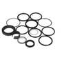 153005 | Hydraulic Seal Kit - Stabilizer Cylinder | Case W14 480C 480C | | G109470 153005 | Hydraulic Seal Kit - Stabilizer Cylinder | Case W14 480C 480C | | G109470