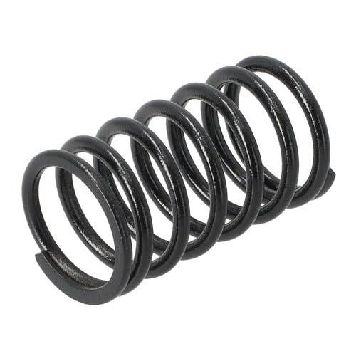 181438 | Inner Valve Spring | Zetor 8011 8045 10011 10045 12011 12045 |  | 80005012