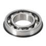 172367 | Input Drive Shaft Bearing | Massey Ferguson TO35 35 50 50 65 65 165 360 1100 1130 | | G13606 | 195505M1 172367 | Input Drive Shaft Bearing | Massey Ferguson TO35 35 50 50 65 65 165 360 1100 1130 | | G13606 | 195505M1
