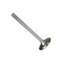 184407 | Intake/Exhaust Valve. Pin Lock | Massey Ferguson TE20 TO20 | Continental Z120 | | 1751519M1 | 1751518M1 184407 | Intake/Exhaust Valve. Pin Lock | Massey Ferguson TE20 TO20 | Continental Z120 | | 1751519M1 | 1751518M1