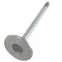 124056 | Intake Valve .015 | John Deere CTS 250 250 300 300 330 330 370 370 530B 535 535 560D 608 644 644 660D 724 740 740 748 753 759 770 770 848G 848G 850 850 853 870 870 872 900 903 903 909 950 950 953 953 959 1470 1470 1710 1710 1711 2256 | | R93312 124056 | Intake Valve .015 | John Deere CTS 250 250 300 300 330 330 370 370 530B 535 535 560D 608 644 644 660D 724 740 740 748 753 759 770 770 848G 848G 850 850 853 870 870 872 900 903 903 909 950 950 953 953 959 1470 1470 1710 1710 1711 2256 | | R93312