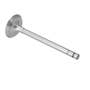 131586 | Intake Valve | LPG | International | Farmall | IH C248 M MV O6 OS6 W6 | | 57698D 131586 | Intake Valve | LPG | International | Farmall | IH C248 M MV O6 OS6 W6 | | 57698D