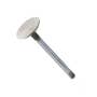 166896 | Intake Valve | Massey Ferguson 24 25 30 50E 50F 50H 50HX 60H 165 175 180 220 255 265 270 275 283 290 294 362 365 374S 375 383 384S 390 394S 399 550 670 690 699 750 760 850 860 885 1105 1130 1135 2640 2675 2705 | | 31431315 | 741092M1 | 735820M1 166896 | Intake Valve | Massey Ferguson 24 25 30 50E 50F 50H 50HX 60H 165 175 180 220 255 265 270 275 283 290 294 362 365 374S 375 383 384S 390 394S 399 550 670 690 699 750 760 850 860 885 1105 1130 1135 2640 2675 2705 | | 31431315 | 741092M1 | 735820M1